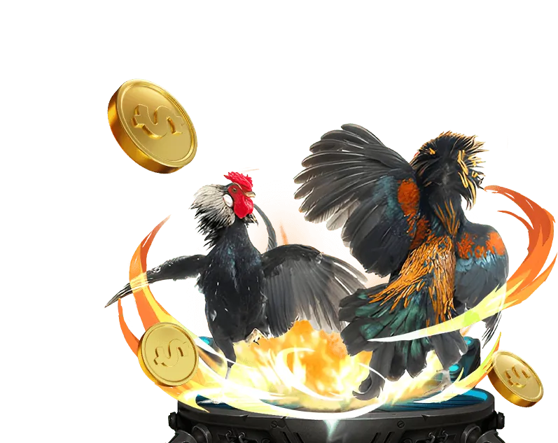 Ưu thế nổi bật của MCW19